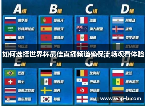如何选择世界杯最佳直播频道确保流畅观看体验