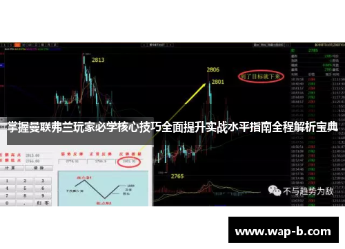 掌握曼联弗兰玩家必学核心技巧全面提升实战水平指南全程解析宝典